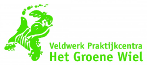 Het groene wiel